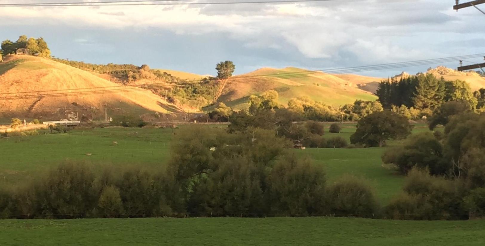 Caves Motor Inn Te Kuiti Kültér fotó