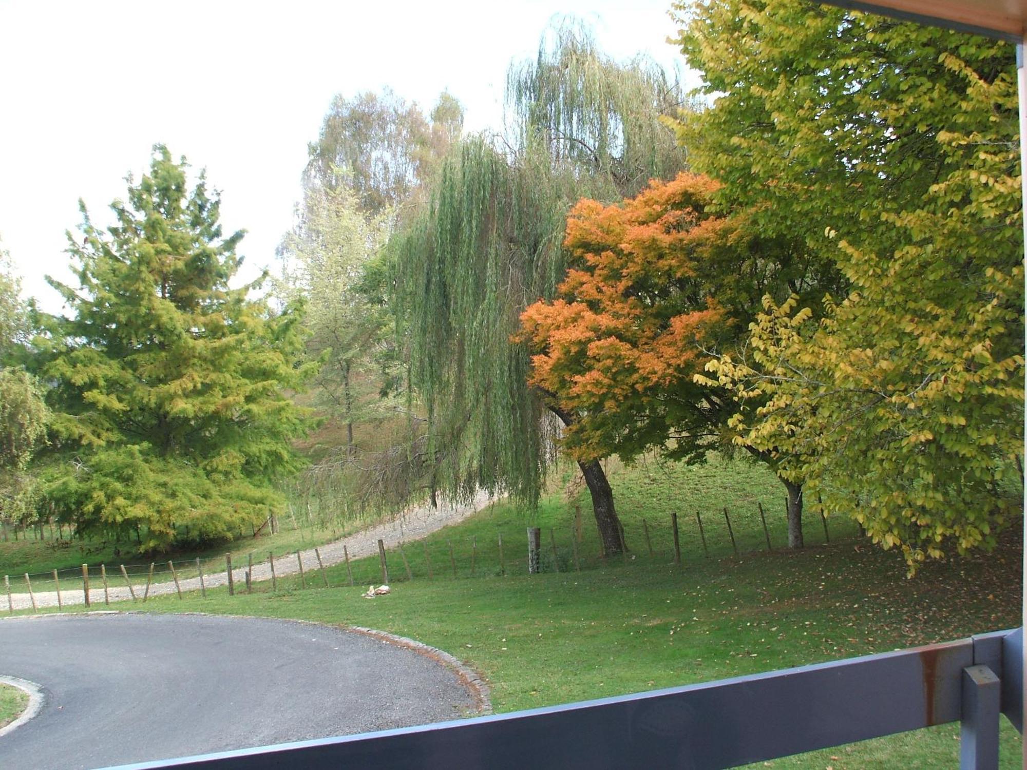 Caves Motor Inn Te Kuiti Kültér fotó